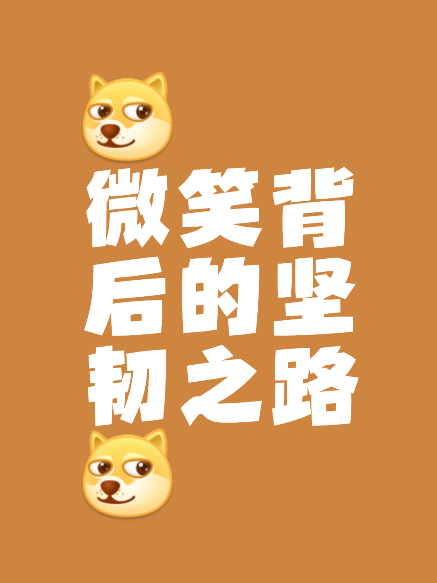 新的挑战正在向我们走来，无所畏惧！